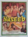 NASEEB